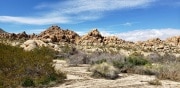 Joshua Tree National Park