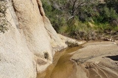 Joshua Tree National Park. I visited after a rainy week and did find some water still around