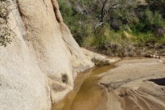 Joshua Tree National Park