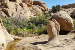 Joshua Tree National Park