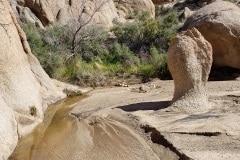 Joshua Tree National Park