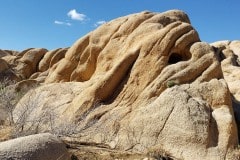 Joshua Tree National Park