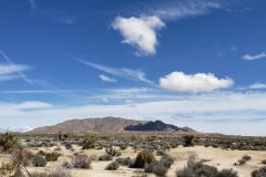 Joshua Tree National Park