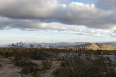 Joshua Tree National Park