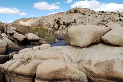 Joshua Tree National Park Baker dam area