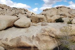 Joshua Tree National Park