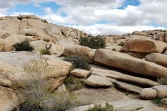 Joshua Tree National Park