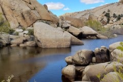 Joshua Tree National Park Baker dam area