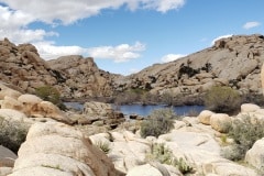 Joshua Tree National Park