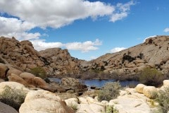 Joshua Tree National Park Baker dam area