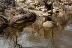 Joshua Tree National Park