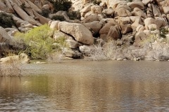 Joshua Tree National Park