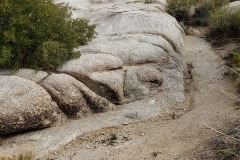 Joshua Tree National Park