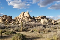 Joshua Tree National Park