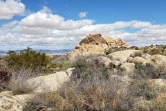 Joshua Tree National Park