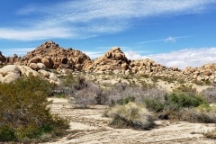 Joshua Tree National Park