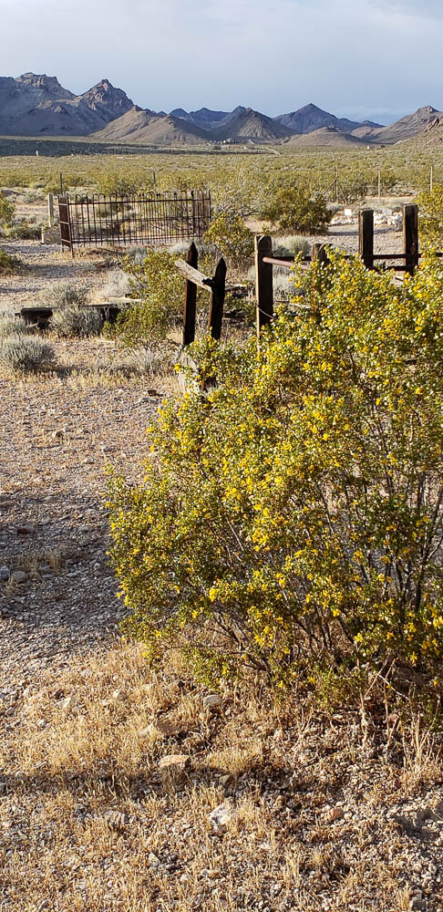 Rhyolite ghost town cemetery looking back towards the town at the base of those hills