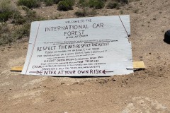 Goldfield Nevada International Car Forest