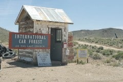 Goldfield Nevada International Car Forest