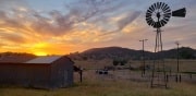 Shed and wind mill