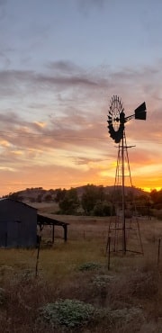 Shed and wind mill