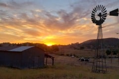 Shed and wind mill