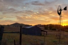 Shed and wind mill