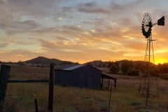 Shed and wind mill