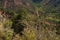 Kolob Canyon Utah