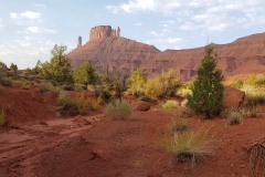 Professor Valley Utah