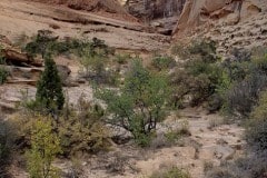 Crack Canyon Utah near Goblin Valley State Park