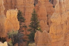 Bryce Canyon Recreation Area