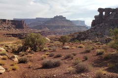 Shafer Canyon in the Islands of the Sky area of Canyonlands National Park