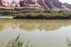 Colorado river int he Islands of the the sky portion of Canyonlands National Park