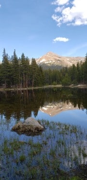 Tuolumne Meadows - Yosemite