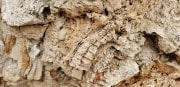 Travertine Hot Spring