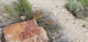 Travertine Hot Spring