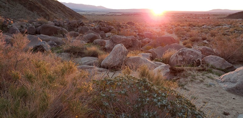 Anza Borrego State Park, Palm Canyon, California