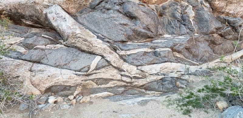 Anza Borrego State Park, Palm Canyon, California