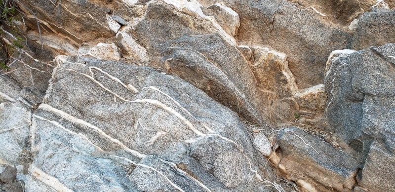Anza Borrego State Park, Palm Canyon, California