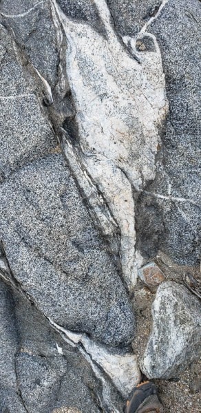 Anza Borrego State Park, Palm Canyon, California