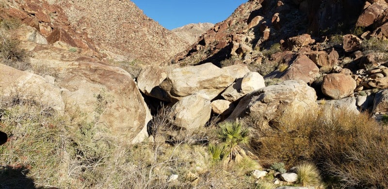 Anza Borrego State Park, Palm Canyon, California