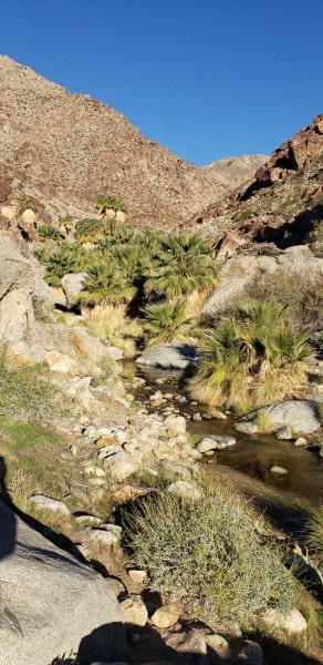 Anza Borrego State Park, Palm Canyon, California