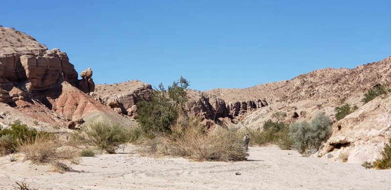 Anza Borrego State Park, California