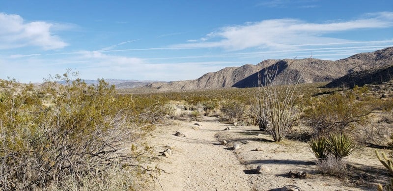 Anza Borrego State Park, California