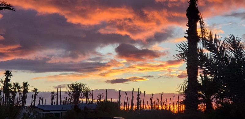 Borrego Springs, California