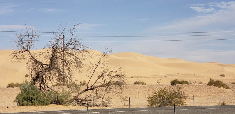 Buttermilk Dunes, California