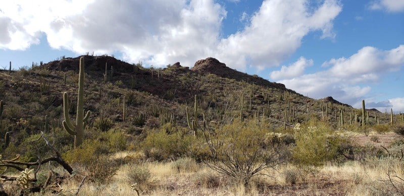 Organ Pipe National Monument, Arizona