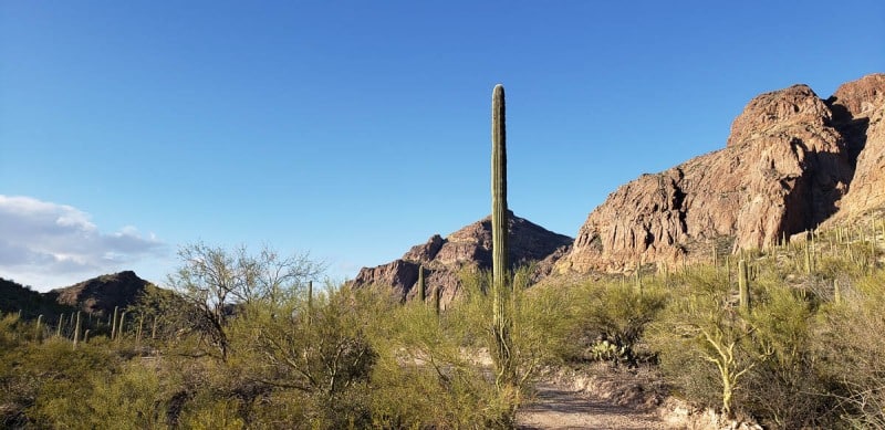 Organ Pipe National Monument, Arizona