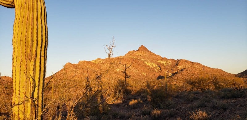 Organ Pipe National Monument, Arizona